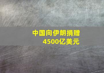 中国向伊朗捐赠 4500亿美元